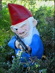 LeapingGnome's Avatar